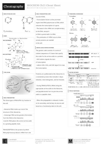 PDF (Black & white) — Style 3