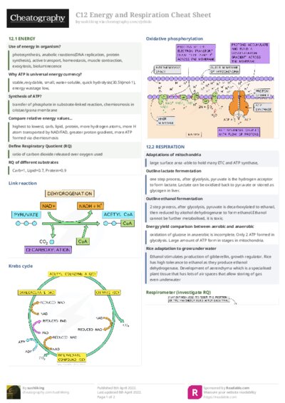 C12 Energy and Respiration Cheat Sheet