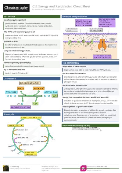 PDF (Colour) — Style 1