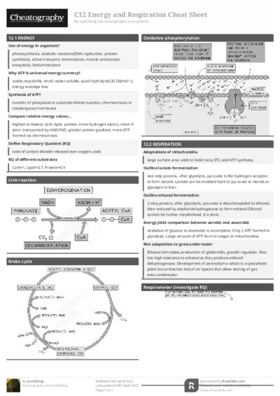 PDF (Black & white) — Style 1