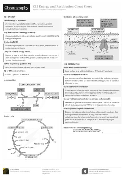 PDF (Black & white) — Style 2