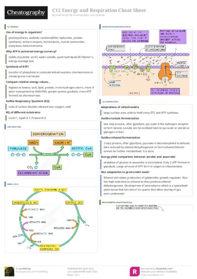 PDF (Colour) — Style 3