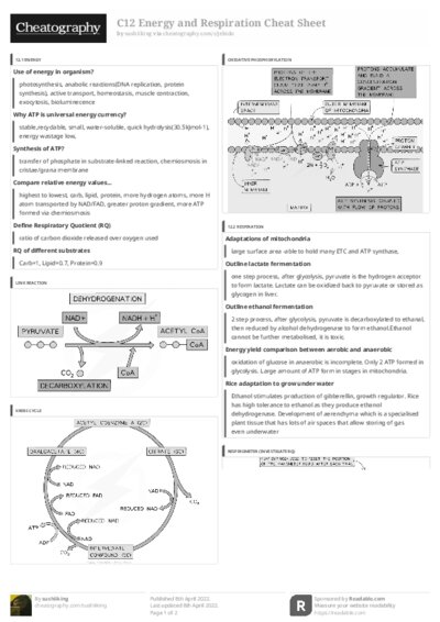 PDF (Black & white) — Style 3