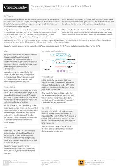 Transcription and Translation Cheat Sheet