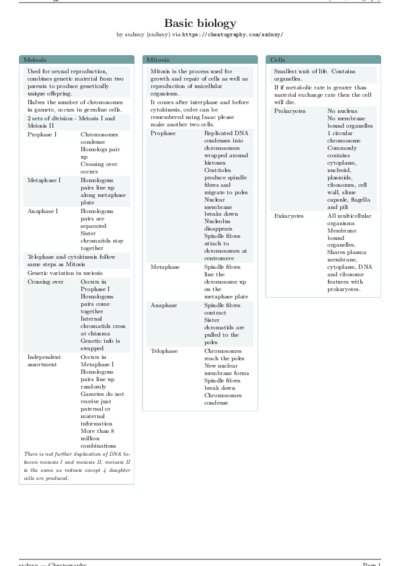 LaTeX (Compiled PDF)