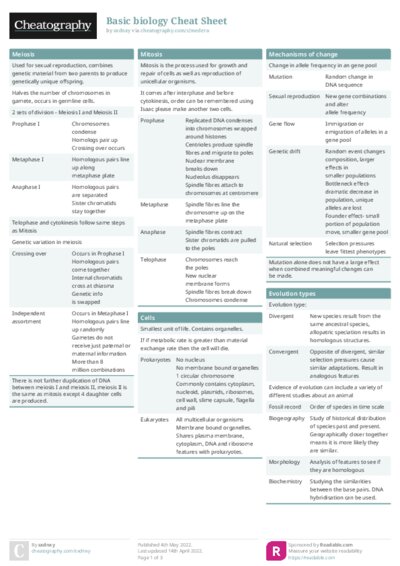 PDF (Colour) — Style 1
