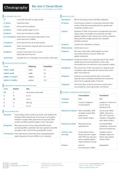 PDF (Colour) — Style 3