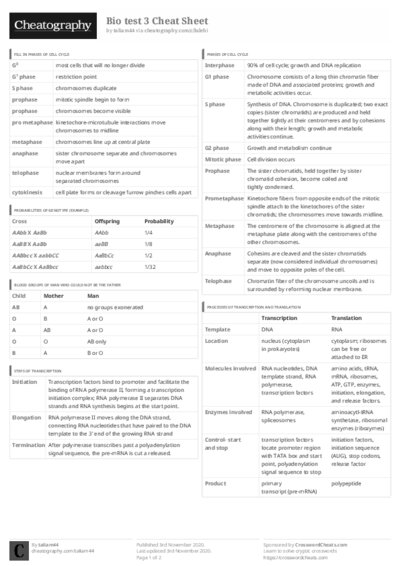 PDF (Black & white) — Style 3