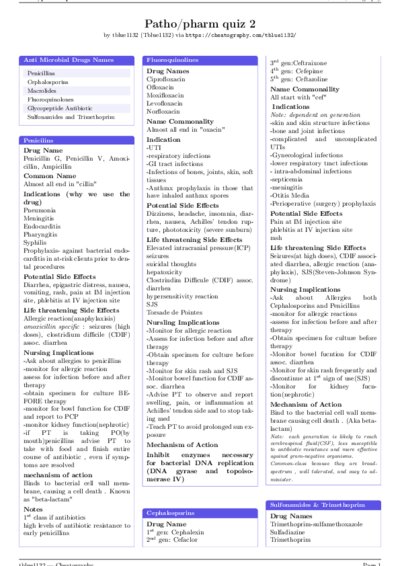 LaTeX (Compiled PDF)