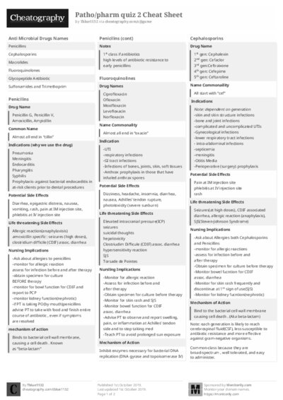 PDF (Black & white) — Style 2