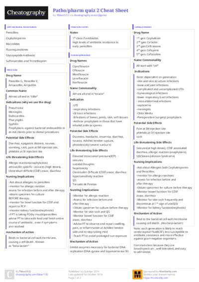 PDF (Colour) — Style 3