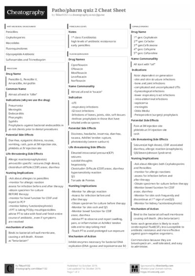 PDF (Black & white) — Style 3