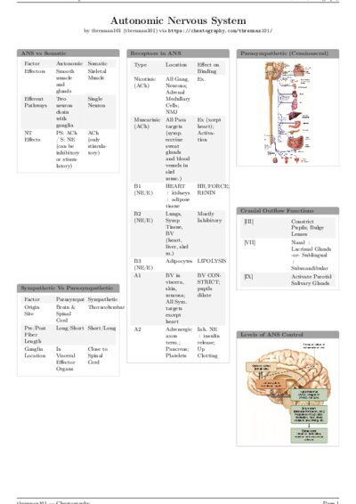 LaTeX (Compiled PDF)