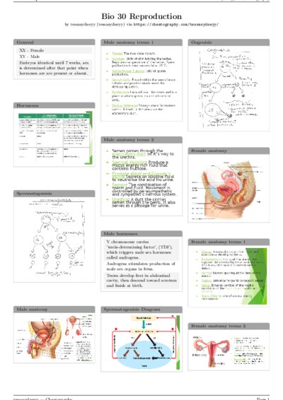 LaTeX (Compiled PDF)