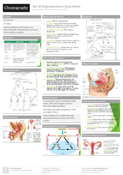 PDF (Colour) — Style 1