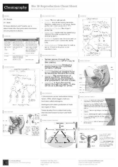 PDF (Black & white) — Style 3