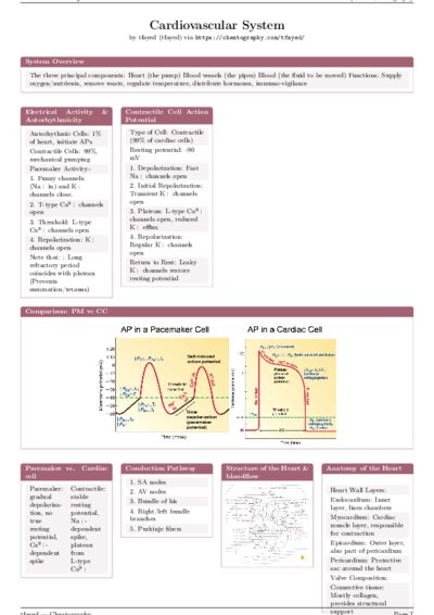 LaTeX (Compiled PDF)