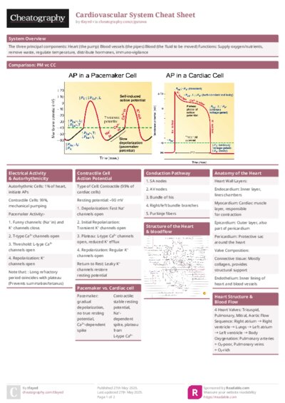 PDF (Colour) — Style 1