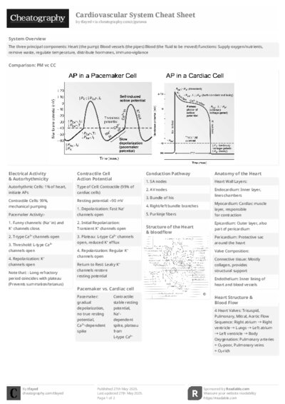 PDF (Black & white) — Style 2