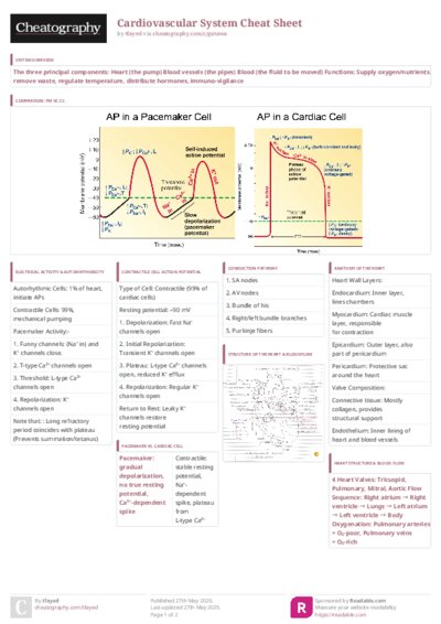 PDF (Colour) — Style 3