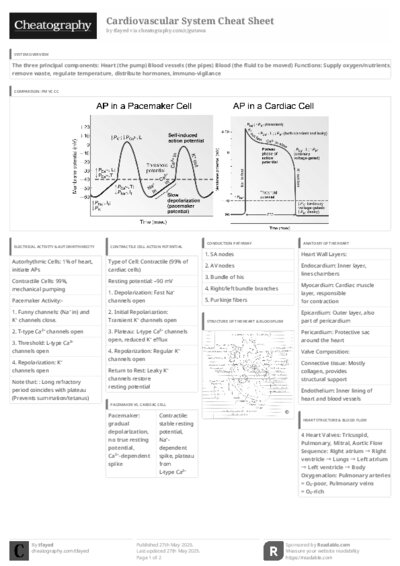 PDF (Black & white) — Style 3
