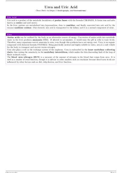 LaTeX (Compiled PDF)