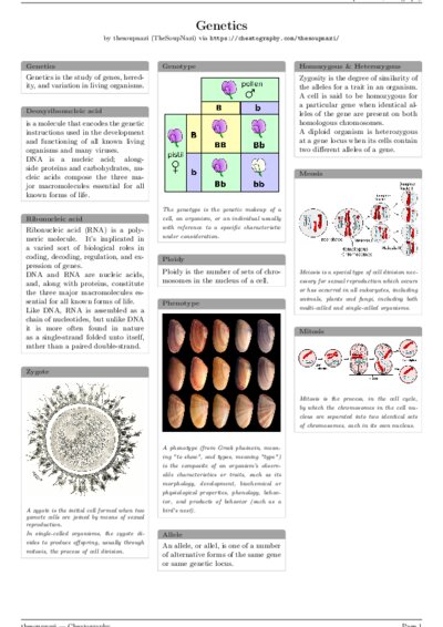 LaTeX (Compiled PDF)