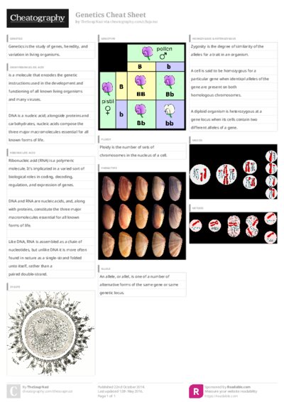 PDF (Colour) — Style 3