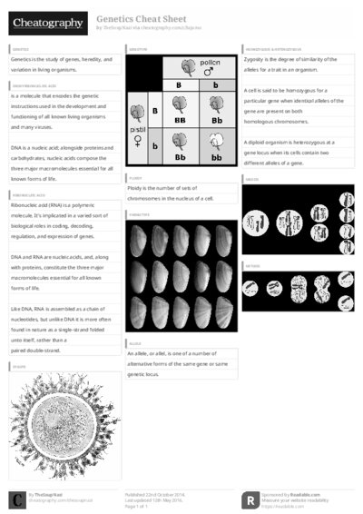 PDF (Black & white) — Style 3