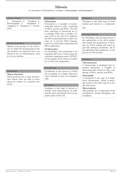 LaTeX (Compiled PDF)