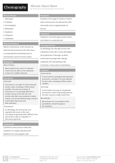 PDF (Colour) — Style 1