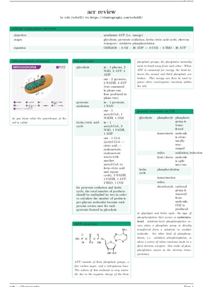 LaTeX (Compiled PDF)