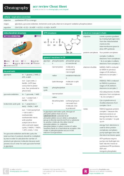PDF (Colour) — Style 1