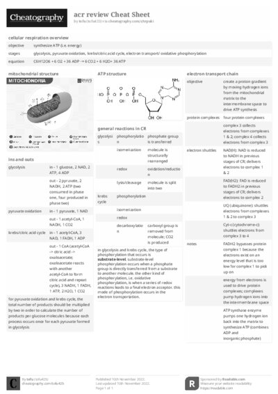 PDF (Black & white) — Style 2