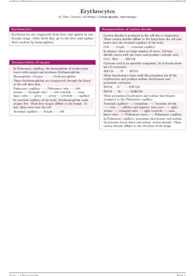 LaTeX (Compiled PDF)