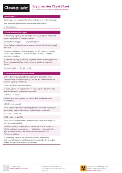 PDF (Colour) — Style 1