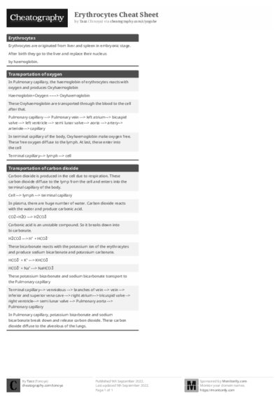 PDF (Black & white) — Style 1