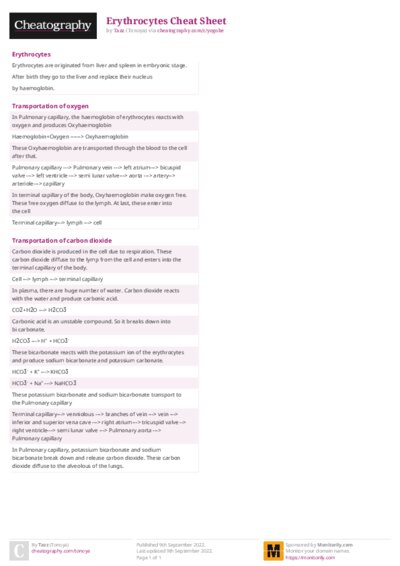 PDF (Colour) — Style 2