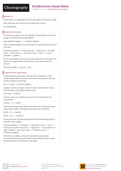 PDF (Colour) — Style 3