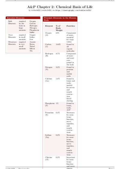 LaTeX (Compiled PDF)