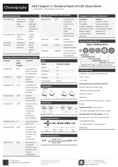 PDF (Black & white) — Style 1