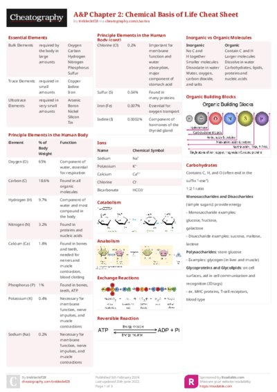 PDF (Colour) — Style 2