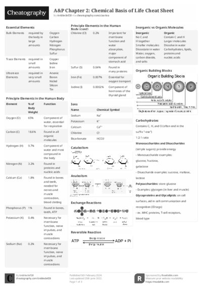 PDF (Black & white) — Style 2