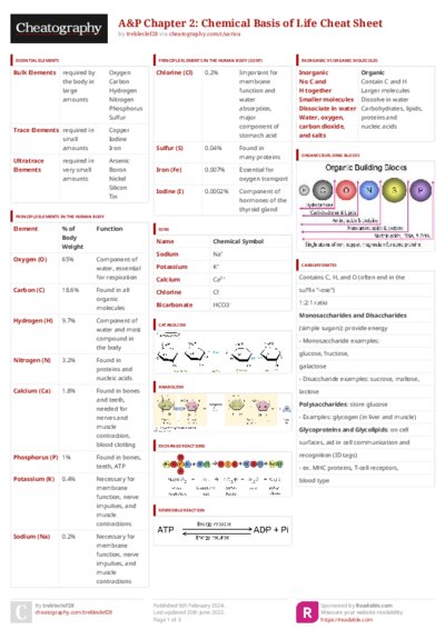 PDF (Colour) — Style 3