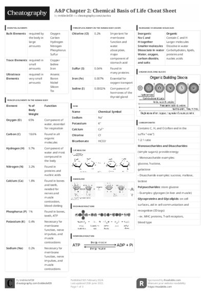 PDF (Black & white) — Style 3