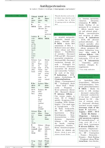 LaTeX (Compiled PDF)