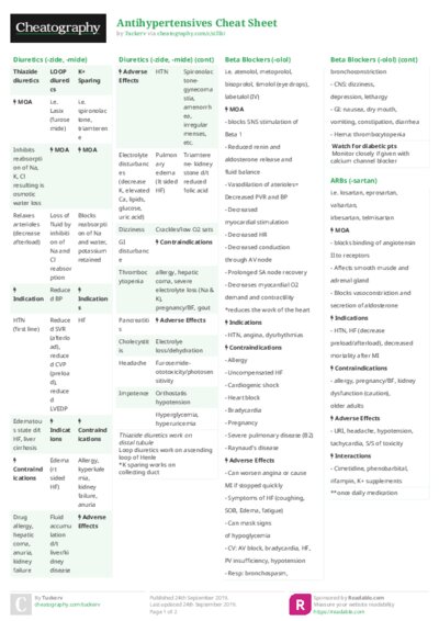 PDF (Colour) — Style 2