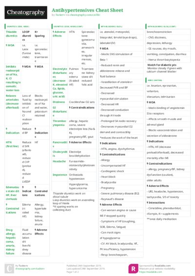 PDF (Colour) — Style 3