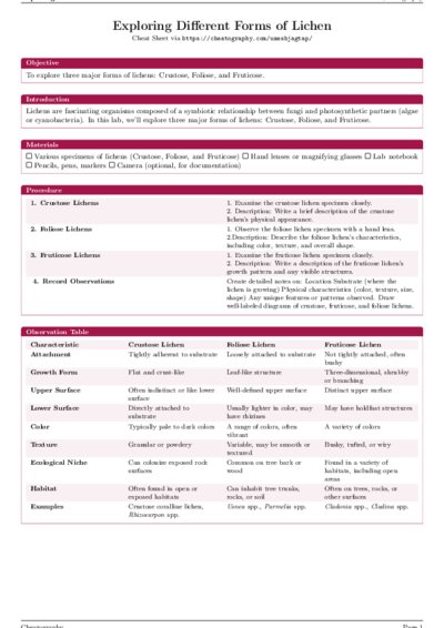 LaTeX (Compiled PDF)
