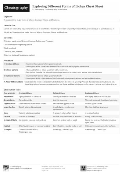 PDF (Black & white) — Style 2
